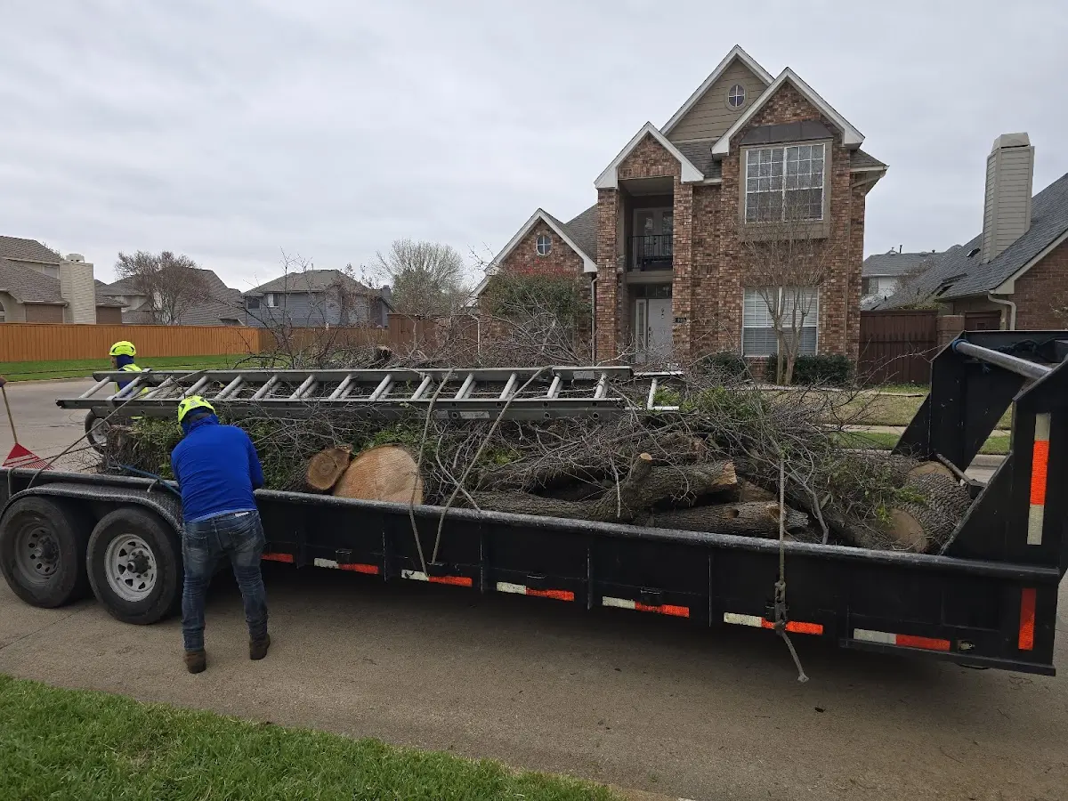 Expert Tree Pest Control with proper safety equipment in Grimesland